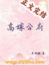 高嫁公府小说