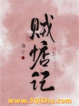 贼惦记小说