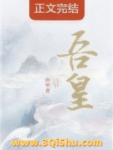 吾皇小说