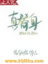 真替身小说