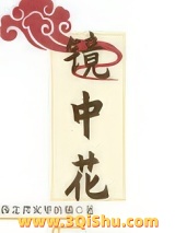 镜中花小说