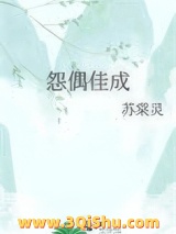 怨偶佳成小说