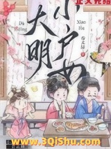 大明小户女小说