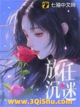 放任沉迷小说