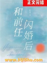 和前任闪婚后小说