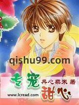 专宠甜心小说