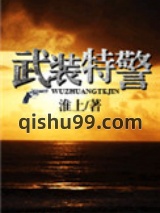 武装特警小说