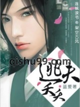 逃夫夭夭小说