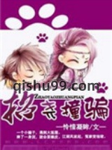 招尧撞骗小说