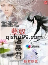 重生之孽奴虐暴君小说