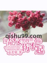 这世上我最爱你小说