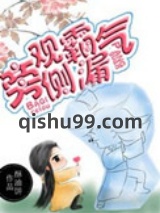 旁观霸气侧漏小说