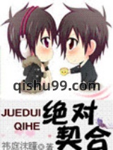 绝对契合小说
