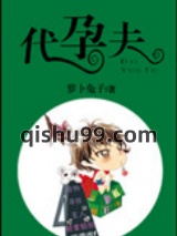 代孕夫小说