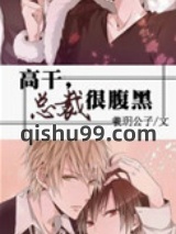 总裁很腹黑小说