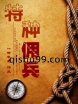 特种佣兵小说