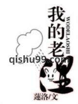 我的老师小说