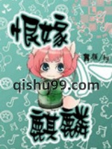 恨嫁小麒麟小说
