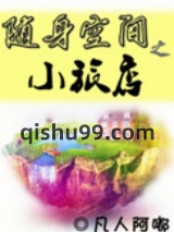 随身空间之小旅店小说