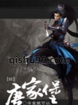 （综武侠同人）唐家堡小说