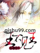 王不见王[洪荒]小说
