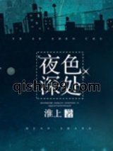 夜色深处小说