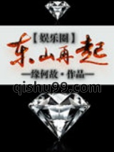 东山再起[娱乐圈]小说