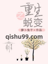 重生之蜕变小说