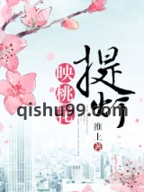 提灯映桃花小说