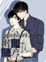 附加遗产小说