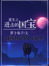 重生之进击的国宝小说