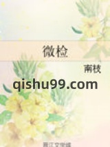 微检小说