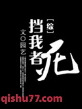 （综同人）挡我者，死小说