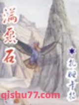 满愿石小说
