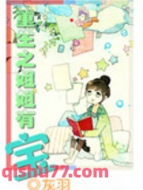重生之姐姐有宝小说