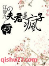 夫君是疯子小说