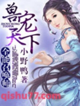 大英雄时代小说