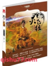 灵飞经（出书版）小说