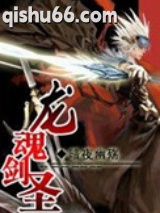 龙魂剑圣小说