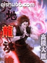 天地龙魂小说
