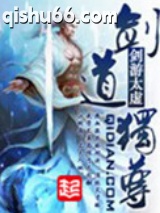 剑道独尊小说