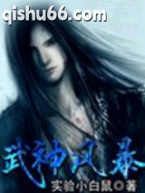 武神风暴小说