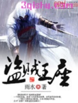 盗贼王座小说
