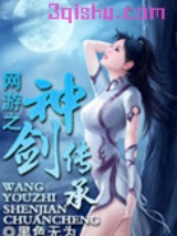 网游之神剑传承小说