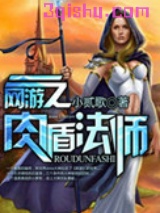 网游之肉盾法师小说