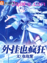 外挂也疯狂小说
