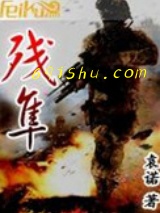 残隼小说