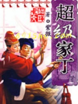 超级家丁小说