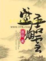盛唐烟云小说