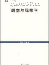胡塞尔现象学导引小说